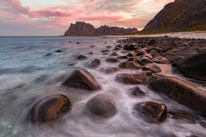 Salon Honorable Mention